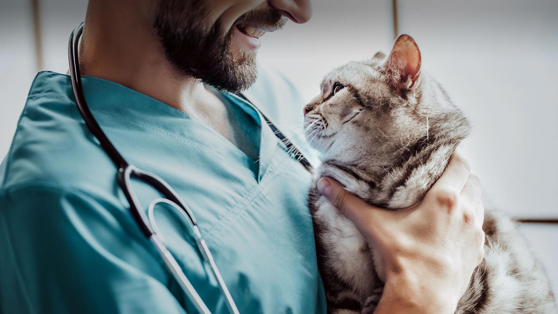 Balışeyh Veteriner